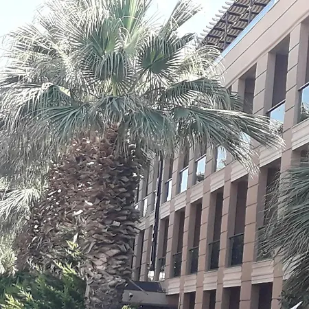 Nazar 2* ディディム